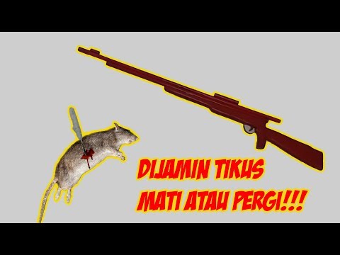 MEMBUAT SENDIRI SENAPAN PENGUSIR TIKUS MEMBUAT SENDIRI SENAPAN PENGUSIR TIKUS