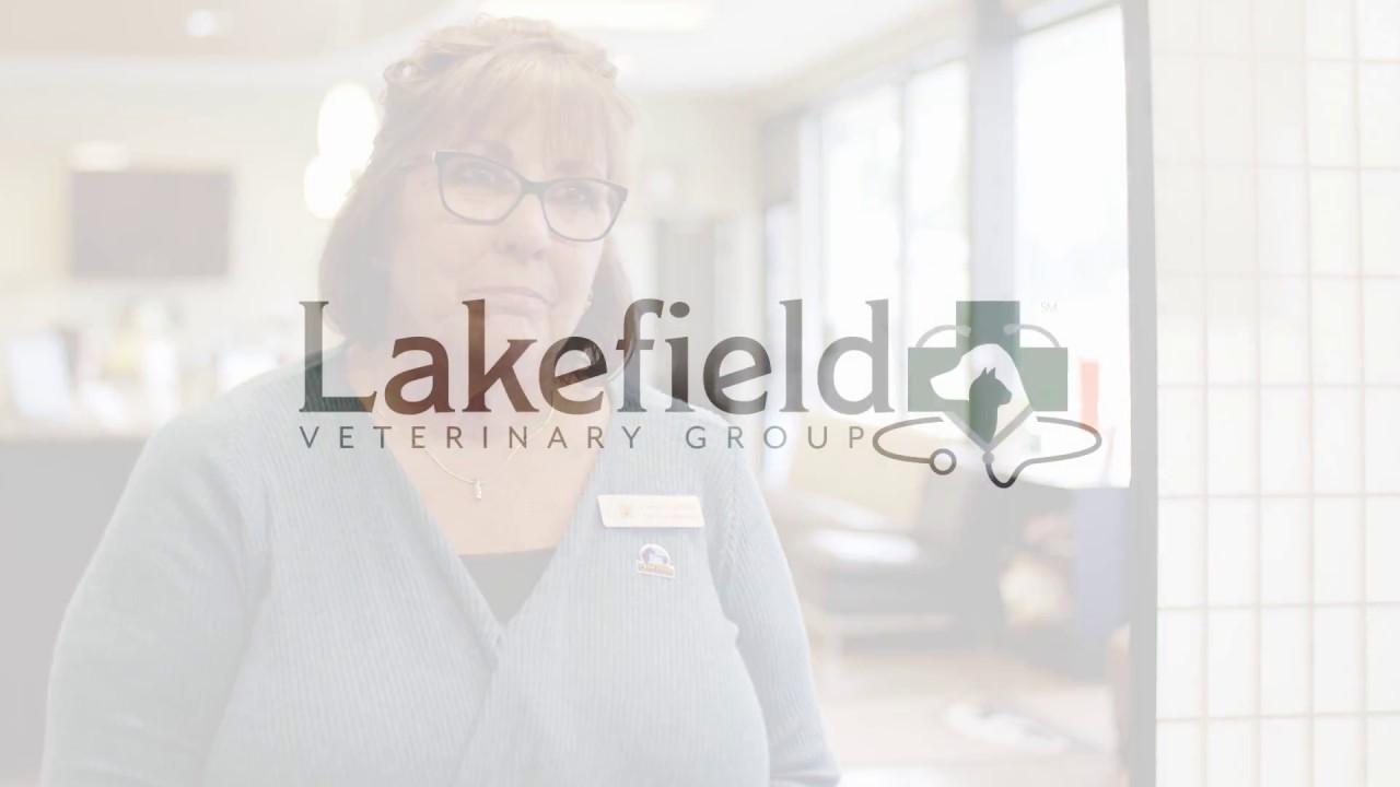 lakefield veterinary group