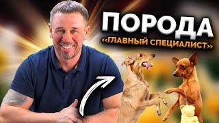 АЛЬФАБАНКОВСКИЙ ТЮБИК ДУМАЕТ ЧТО СТАРШИЙ! | БАНКРОТСТВО | Кузнецов | Аллиам