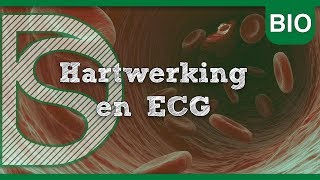 Examens Biologie - Hartwerking en ECG (Bloedsomloop)