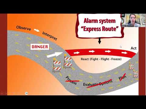 Trauma 101: How trauma affects your brain