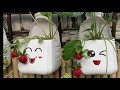 [DIY Plant Pot #1 自製吊花盆] (Update) - link under description for video showing how to make it🪴