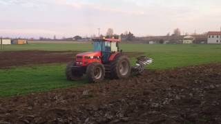 same 265 in aratura