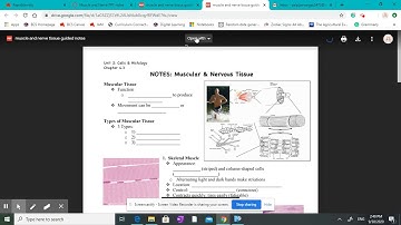 How to download, annotate and submit a PDF assignment from Canvas using Kami