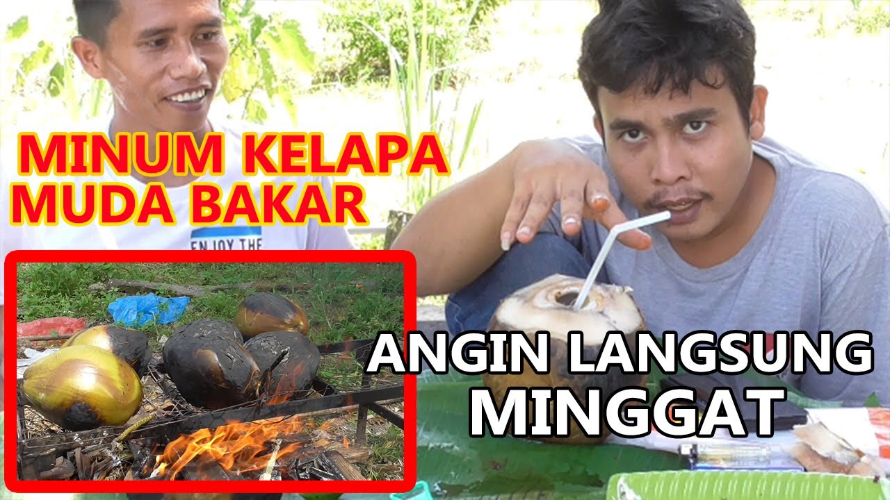 KELAPA MUDA BAKAR SANGAT BANYAK MANFAATNYA BAGI KESEHATAN, KHASIAT