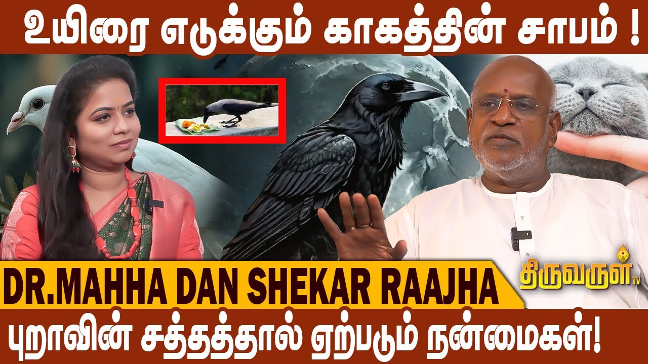 நாய்,பூனை,புறா இதெல்லாம் மனிதகுலத்திற்கு தீங்கு தருமா? - Dr.Mahha Dan Shekar | Format Numerology