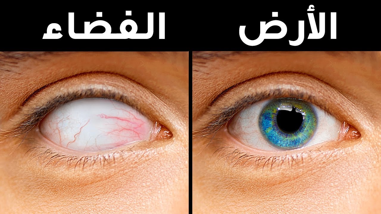 إليك +100 حقيقة منوعة: كم كنت تعرف منها؟