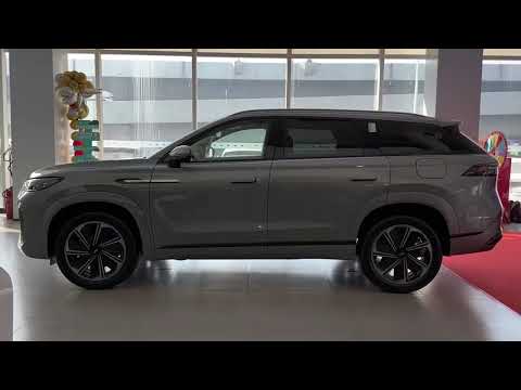 This Chinese Luxury Sedan Will Blow Your Mind!