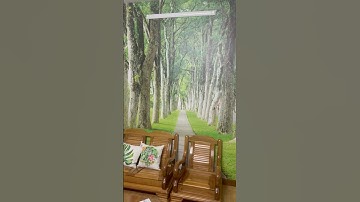 Tranh 3D Dán Tường Phong Cảnh Hàng Cây Cổ Thụ Trang Trí Điểm Nhấn Phòng Khách.