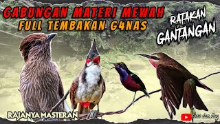 GABUNGAN MATERI MEWAH RATAKAN GANTANGAN! MASTERAN BURUNG FULL TEMBAKAN MASTERAN BURUNG LOMBA