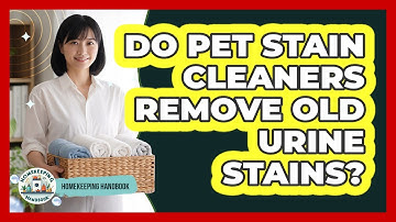 Do Pet Stain Cleaners Remove Old Urine Stains?