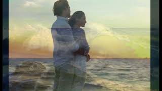 28 Degrès À Lombre - Jean-François Maurice.