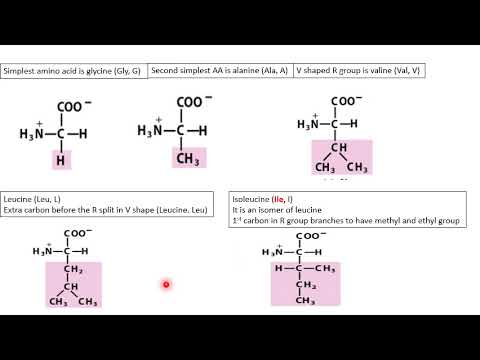 Sci Biochem 277-278 Lecture 5