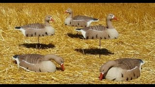 # 26 Обзор и отзывы чучела гусей GreenHead Gear спустя 4 сезона эксплуатации.