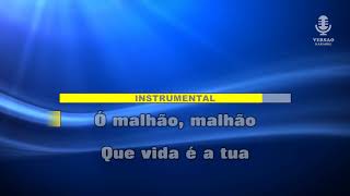 ♫ Demo - Karaoke - Ó MALHÃO MALHÃO - Popular Portuguesa