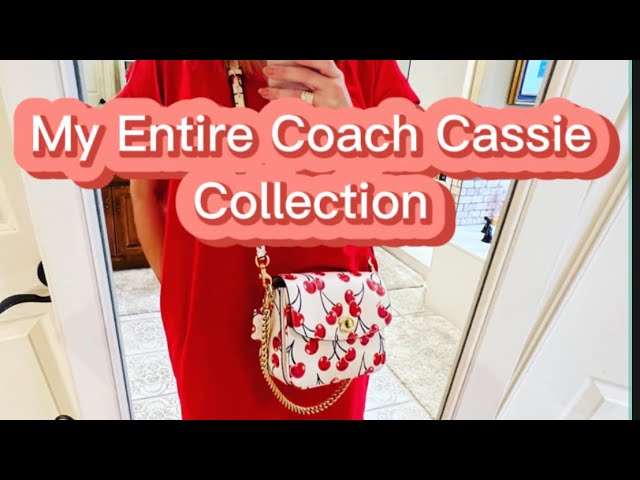 Coach Cassie 19 & Coach Camera Leather Bag Comparison 🥰🖤 