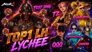Top1 Lion Heart Lychee Test Damage Tz X Charlotte X Darkwizard S.a14 War