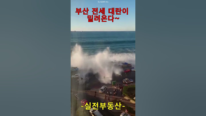 부산 전세 부족이 밀려온다~#부동산 #부동산투자 #부동산재테크 #부산부동산 #부동산공부 #투자마인드