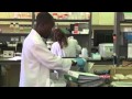 Possible breakthrough cancer malaria research
