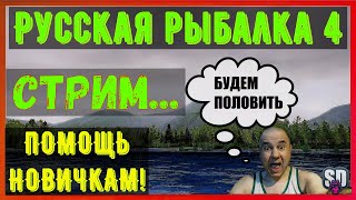 Русская Рыбалка 4 *😝Помощь, Крафтим приманки, Прикорм, Наживка! Для новичков!😝*