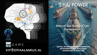 HAI - OIL - Natural Gas Supply Chain Optimization