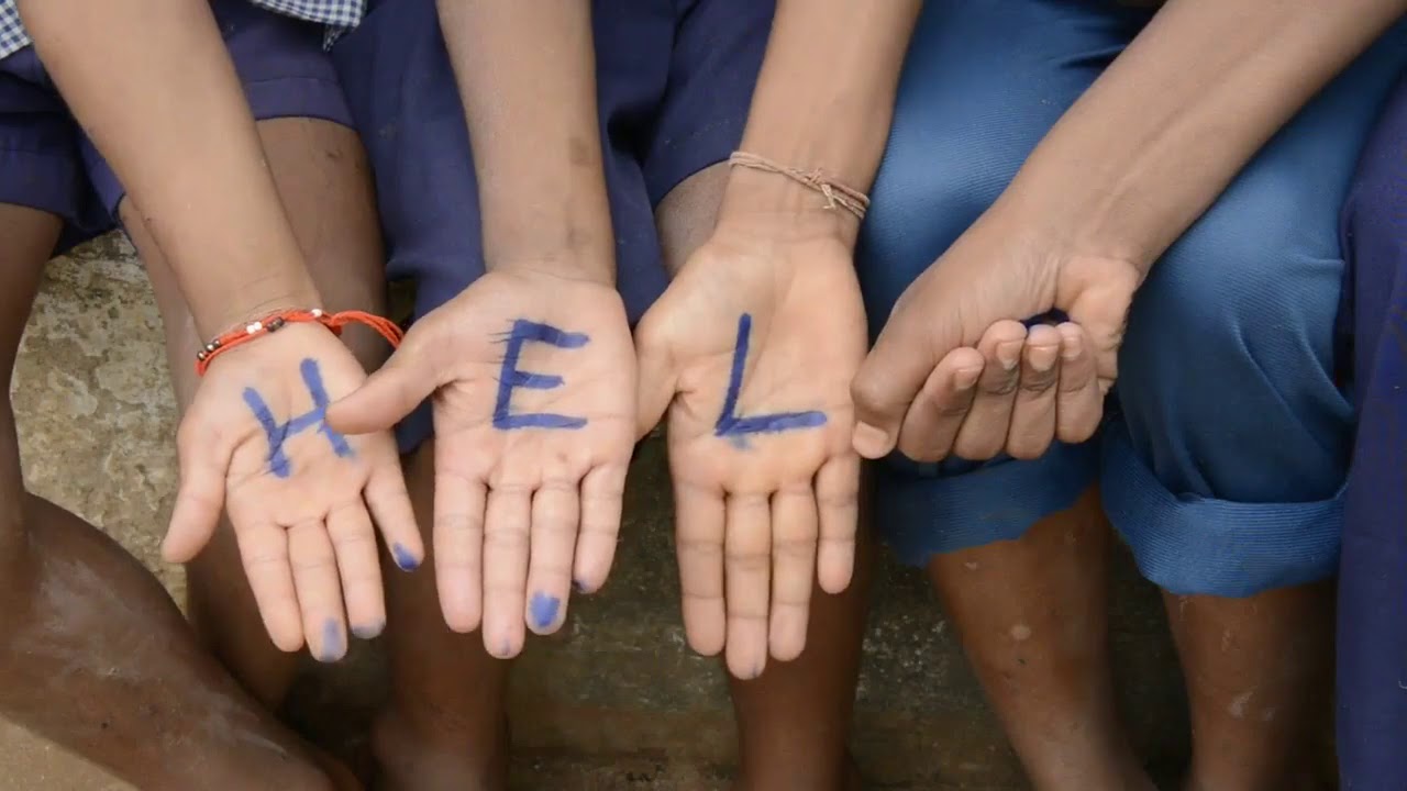 The Delia Foundation