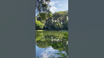suasana sejuk telaga pacuh Blitar#sinarengan #blitar #wisata #sadstory #fyp