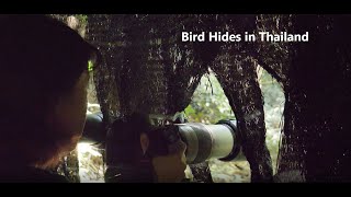 Bird Hides in Thailand: A Community Success Story