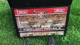 Avian X Topflight Pintail