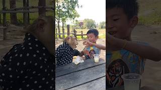 Download Lagu Awesome SokYaa,OG, ToTo Animals Are So Awesome #shorts MP3