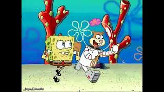 Sandy,spongebob,and the worm | spongebob bahasa indonesia 5/5