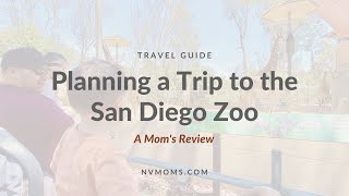 Planning a Trip to San Diego Zoo, a Mom's Review | Nevada Moms