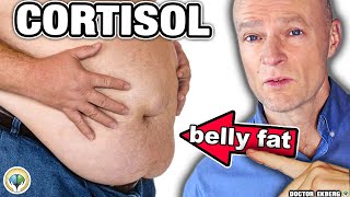 10 Warning Signs Your CORTISOL Is Way Too High!