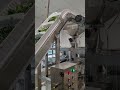 Salad secondary lifting packaging solution