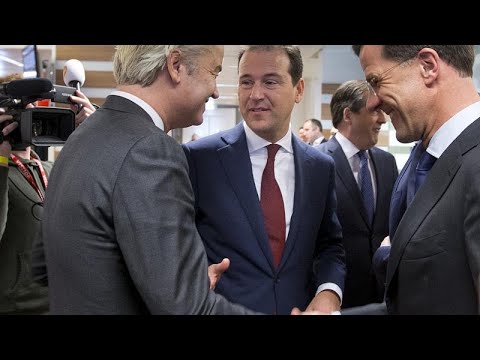 Dutch government resigns