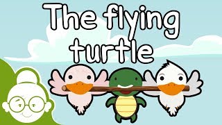 The Flying Turtle