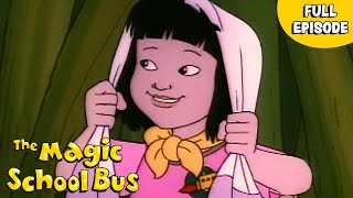Wandas Best Episodes Full Episodes The Magic School Bus 9 Story Fun