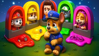 My Friends!!! PLEASE Come Back To Me - So Sad Story | PAW Patrol 3D Animation | Rainbow 3