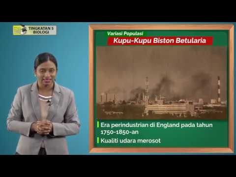 Video: Apakah varians persekitaran?