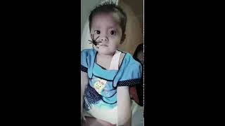 Anak takut laba laba