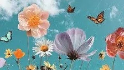 سورة غافر مكتوبة من (٨ إلى ١٦) بصوت أيمن السويد 🌼🍃🌼