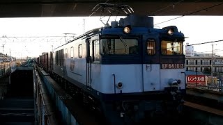 2015/02/10 JR貨物 77レ EF64 1013 西浦和駅 | JR Freight: Cargo Train by EF64 1013 at Nishi-Urawa