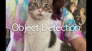 Object detection cat (YOLO)