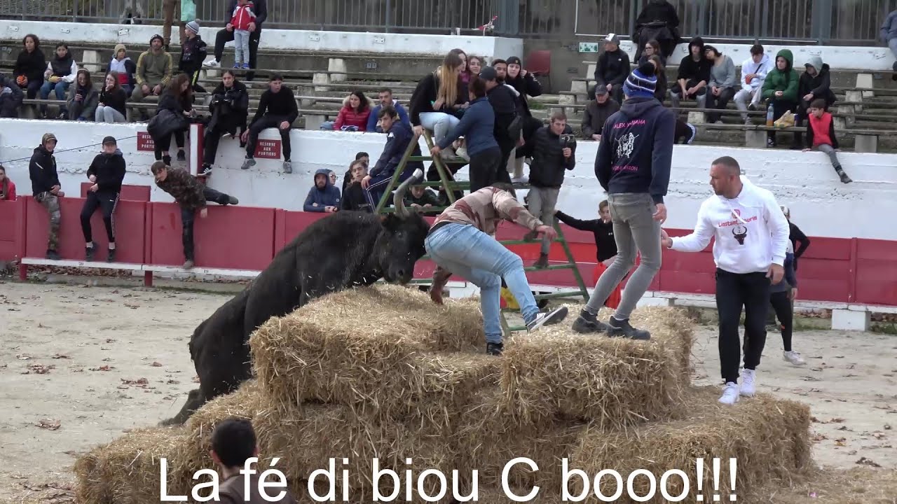 Châteaurenard ▶course au plan - manade De l'Étrier◀ 24.11.2024.