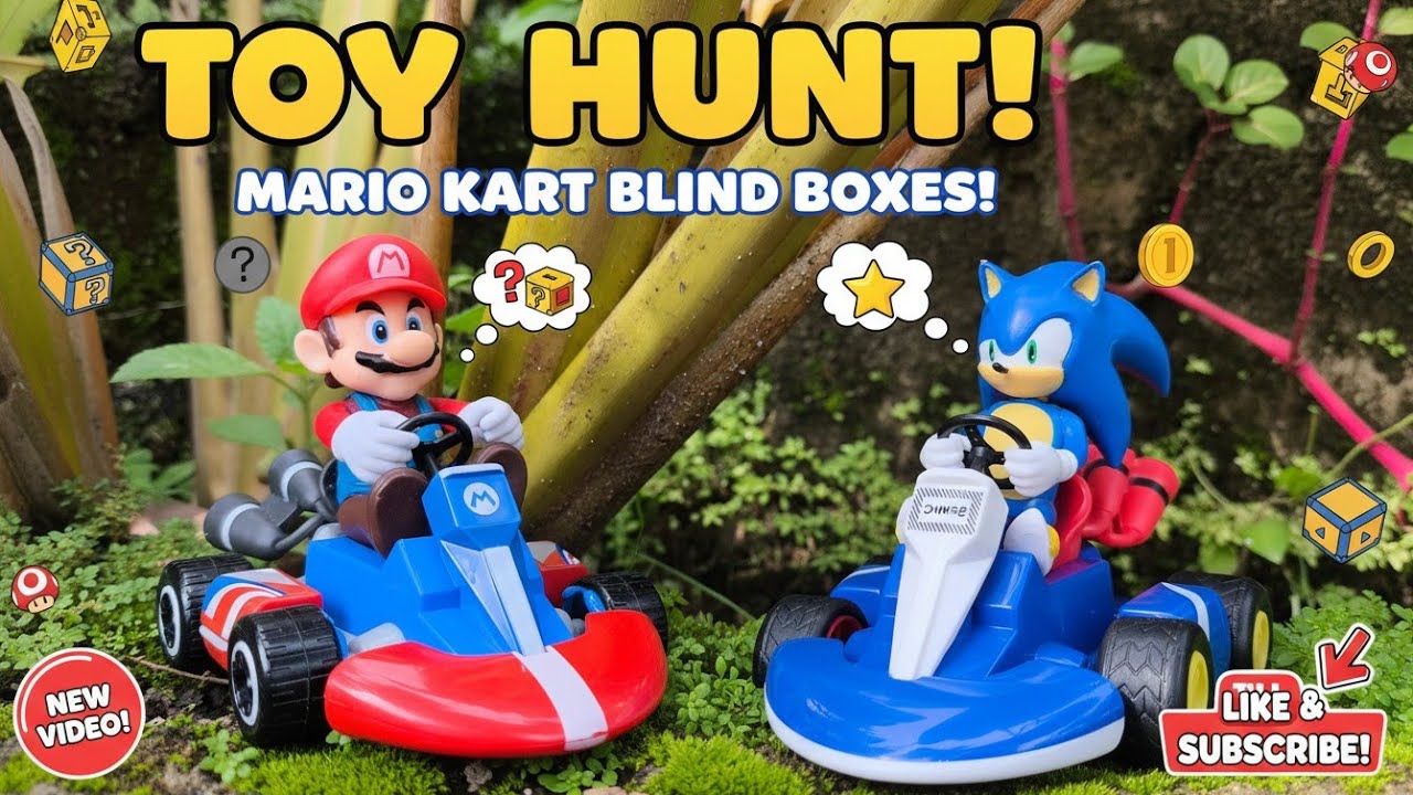 Mario and Sonic Hunt Adventure! Luigi/Shadow/Toad/Tails/Yoshi/Knuckles/Bowser/Dr. Eggman/Princess