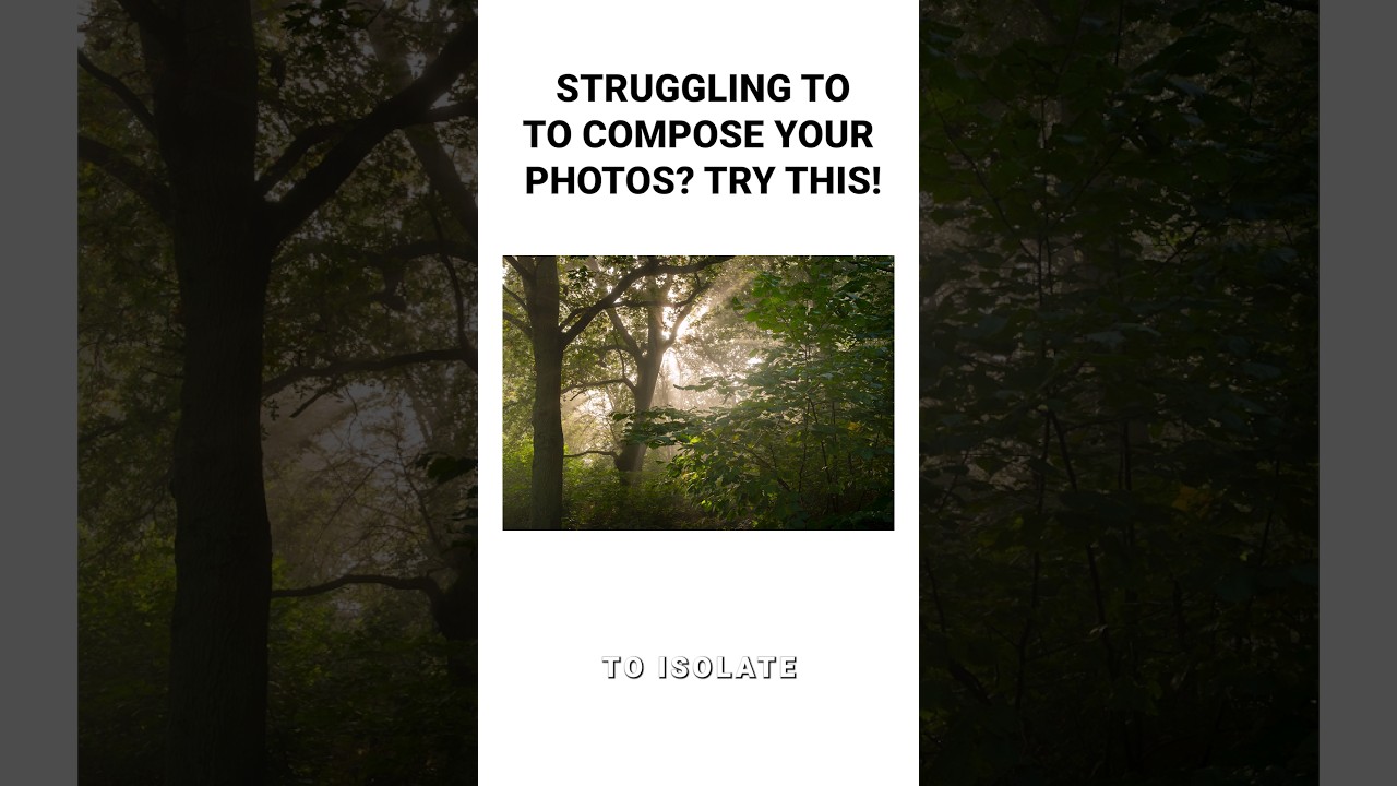 Struggling to Compose your Photos?  Try This! 📸 