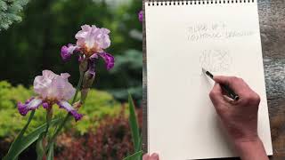 “Contour drawing” IRIS screenshot 3