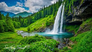 Beautiful Relaxing Heals The Heart And Blood Vessels