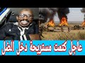 حامد يفرجها الااان كتمت في مستريحة عبدالرحيم طاحونه عرد دنقاس والعشرات دنيا زايلي