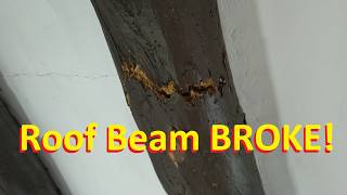 Snapped Roof Rafter Repair – Fixing a Broken Tree Trunk Beam